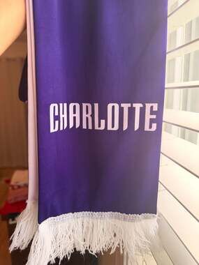 Charlotte Hornets Buzz City NBA Fan Scarf